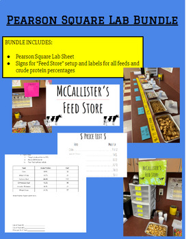 Preview of Pearson Square Lab Bundle