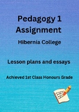Pedagogy 1 Assignment (Hibernia College) Achieved 1st Clas