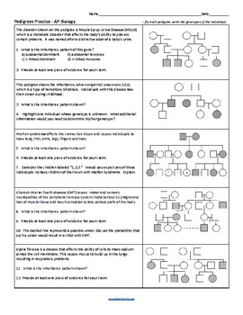 32 Pedigrees Practice Worksheet Answers - Worksheet Info 2021