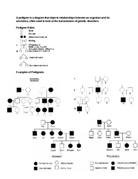 make your own pedigree assignment