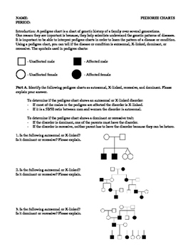 Studying Pedigrees Activity Worksheet Answer Key + My PDF Collection 2021