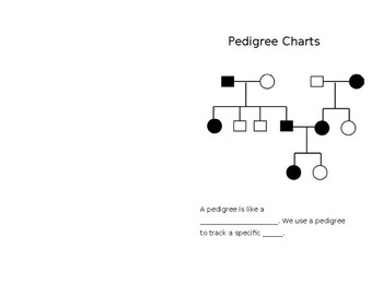 Creating A Pedigree Chart Worksheet