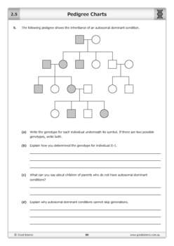 Pedigree Chart Worksheet Answer Key : Pedigree Worksheet / Some of the