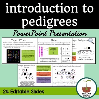 biology pedigree with traits for pictures and projects