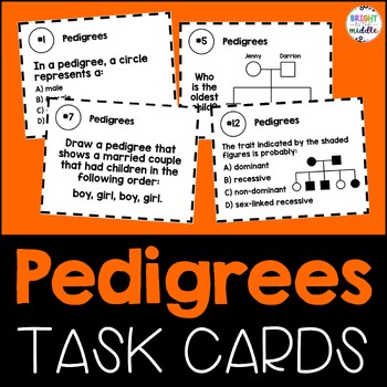 Preview of Pedigree Activity Task Cards - Middle School Science