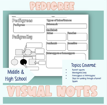 Preview of Biology | Pedigree Visual Notes for High School Students