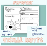 Biology | Pedigree Visual Notes for High School Students