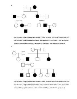 Pedigree Worksheet by Seriously Science | Teachers Pay Teachers