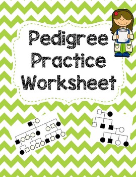Preview of Pedigree Practice Worksheet