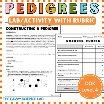 Preview of Pedigrees Activity With Grading Rubric (Project, Lab or Activity Grade!)