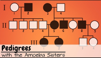 Pedigrees Answer Key By The Amoeba Sisters (Amoeba Sisters ...