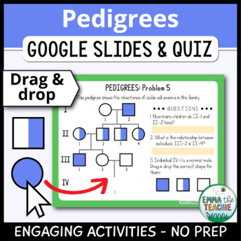 Preview of Pedigree Charts Digital Activities & Quiz - Build & Analyze, Pedigrees Practice