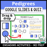 Pedigree Charts Digital Activities & Quiz - Build & Analyz