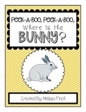 Peek-A-Boo, Where is the Bunny?- Adapted book for Autism