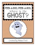 Peek-A-Boo, Where is the Ghost?-Adapted Book for Autism?