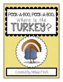 Peek-A-Boo, Where is the Turkey?-Adapted Book for Autism?