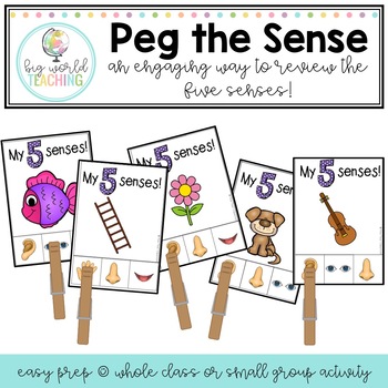 Preview of The Five Senses - Peg The Sense