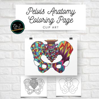 Preview of Pelvis Geometric Coloring Page