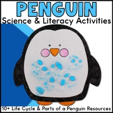Penguin Activities: Life Cycle & Parts of a Penguin Experi