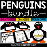 Penguins Bundle | Penguin Craft | Penguin Life Cycle