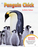 Penguin Chick Digital Comprehension Quiz