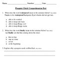 Penguin Chick Reading Comprehension Test 2nd Grade