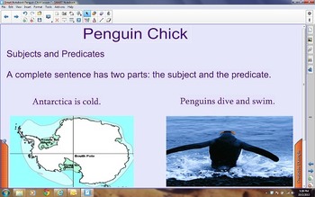 Preview of Penguin Chick Story From Treasures Reading Series