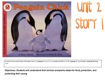 Preview of Penguin Chicks Reading Focus Wall
