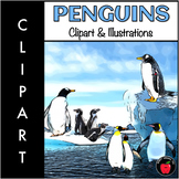 Penguin Clipart by Smart Lessons 101
