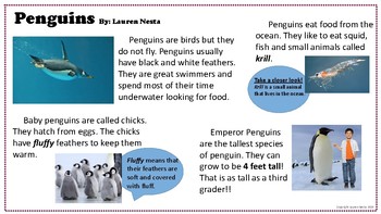 Preview of Penguin Close Read