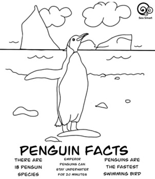 Preview of Penguin Colouring Sheet