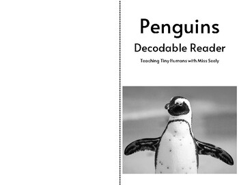 Preview of Penguin Decodable Book