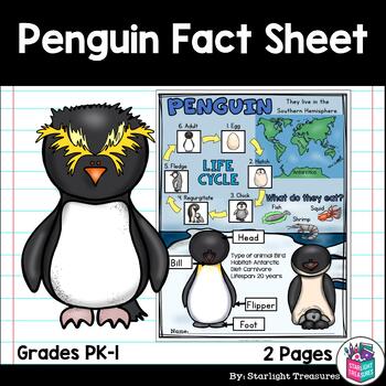 Preview of Penguin Fact Sheet for Early Readers - Animal Study