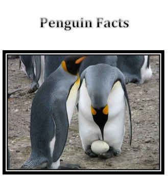 Preview of Penguin Facts