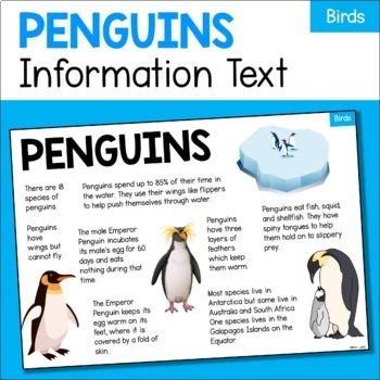 Preview of Penguin Animal Fact Sheet - Diet, Habitat, Features, Size etc - Birds FREE