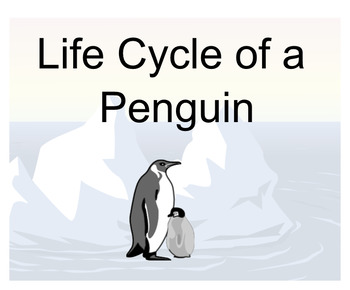 Preview of Penguin Life Cycle 2 lessons