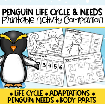 Preview of Penguin Life Cycle