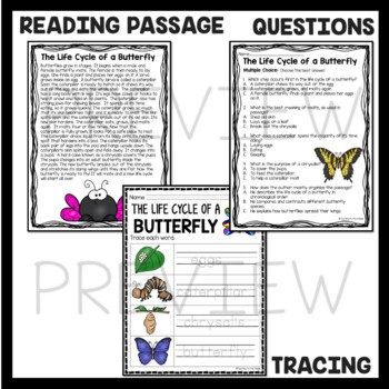 Penguin Life Cycle Activities and Worksheets by Teaching to the Middle