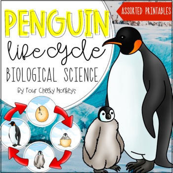 Preview of Penguin Life Cycle | Biological Science Activities and Printables