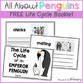 Penguin Life Cycle Book - Winter Animal Science Writing Activity