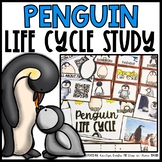 Penguin Life Cycle | Centers, Activities and Worksheets | 