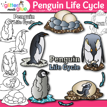 Preview of Penguin Life Cycle Clipart: Animal Clip Art, Black & White Color PNG, Comm. Use