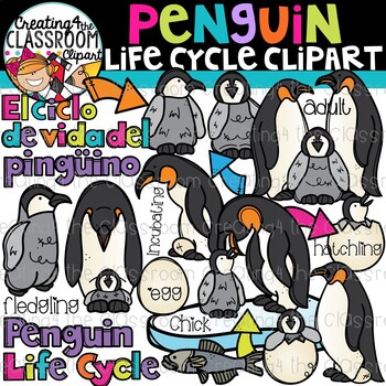 Preview of Penguin Life Cycle Clipart {Life Cycle Clipart}
