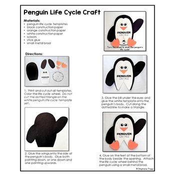 Penguin Life Cycle Craft by Stephanie Trapp | Teachers Pay Teachers