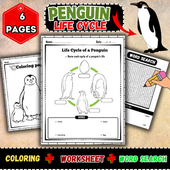 Preview of Penguin Life Cycle Exploration Pack-Word search-Labeling-Worksheet-coloring page