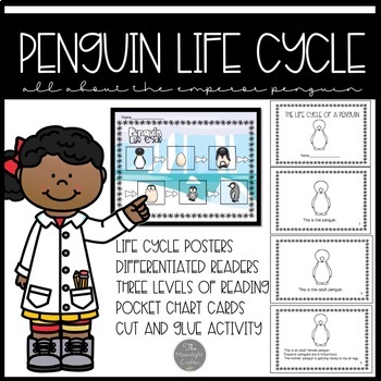 Preview of Penguin Life Cycle Materials: Differentiated