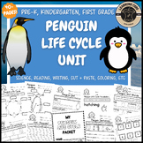 Penguin Life Cycle Science Worksheets Penguins Winter PreK