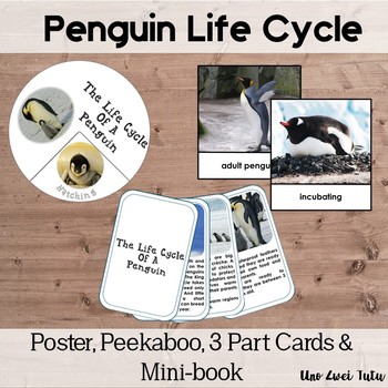 Preview of Montessori Penguin Life Cycle With Real Photos Preschool Science