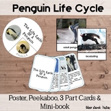 Montessori Penguin Life Cycle With Real Photos Preschool Science