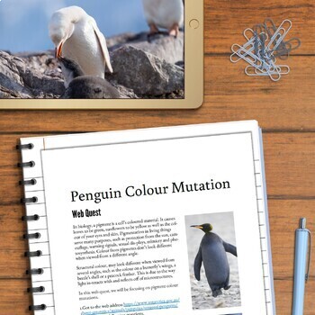 Penguin's Quest